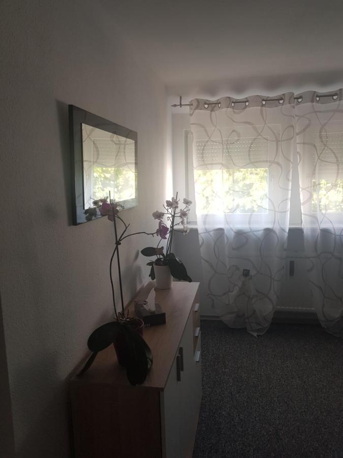 Ruhig Gelegenes Objekt - Netflix,Balkon, Nespressomaschine, Fahrraeder- 7 Minuten Vom See Fuer Den Perfekten Urlaub Im Sueden Uhldingen-Mühlhofen Екстериор снимка